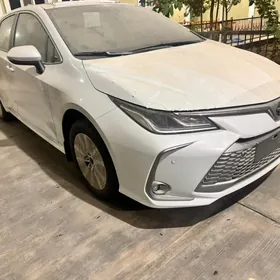 Toyota Corolla 2024