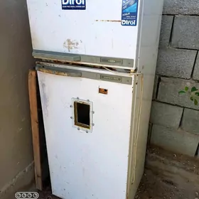 ınkubator