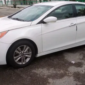 Hyundai Sonata 2010
