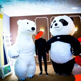 ak aýy we uly panda
