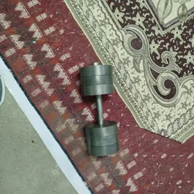 gantel  75kg