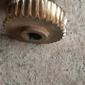 meşalka  redukdyr