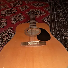 Jansen akustik gitara