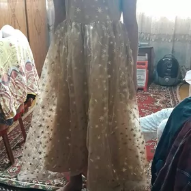 койнек