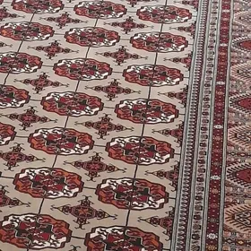 Iran Hali