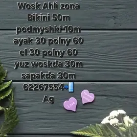 Wosk Hyzmatlary Gash Yuz