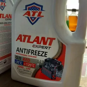 antifriz atlant