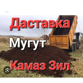 MITI DERS GUM TOYUN ŞEBEL Наво