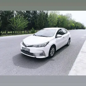Toyota Corolla 2019