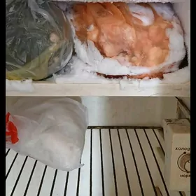 haladilnik