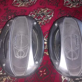 pioneer kalonka