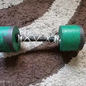 GANTEL