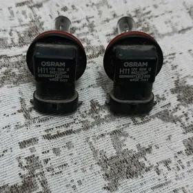osram lampa H11