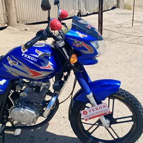 Fekon FK200-14G 2024