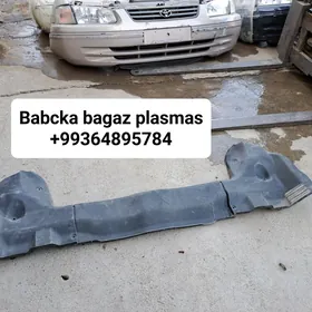 Babcka bagaz plasmas