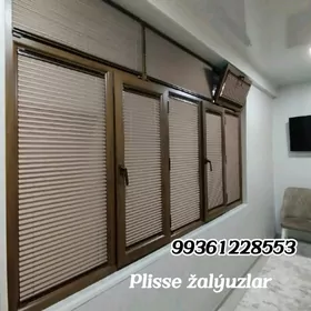 Plissejalýuz žalýuz zalyuz
