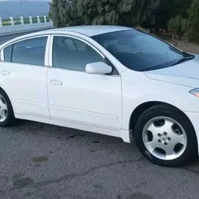 Nissan Altima 2010