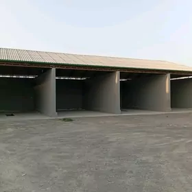 arende boks