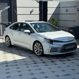 Toyota Corolla 2019