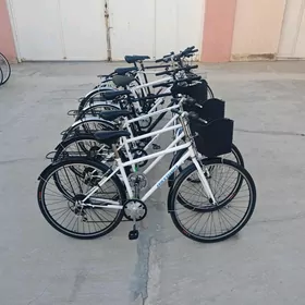 ÝAPON YAPON TIGIRLER