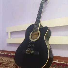 Akustik gitara