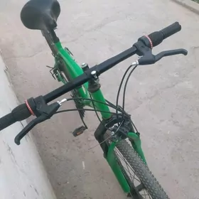 Turkmenistan welik