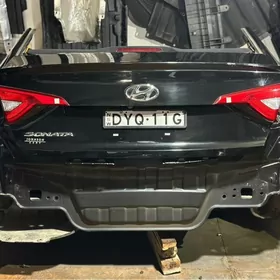 16 sonata morda