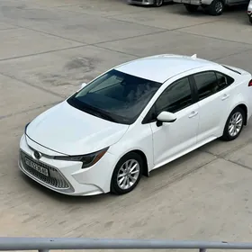 Toyota Corolla 2019