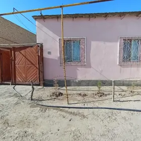 satlyk daca