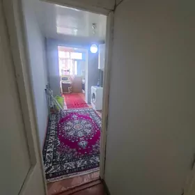 Arzan 3 komnat