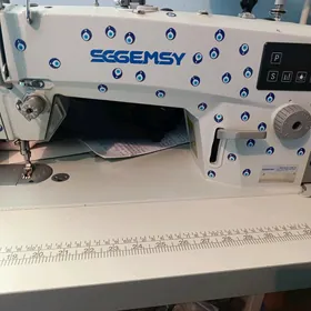 SGGEMSY