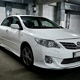 carolla dabafka