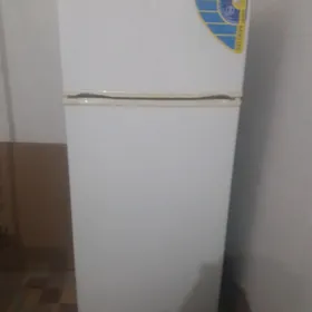 Nord holadilnik