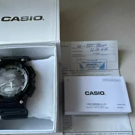 sagat Casio