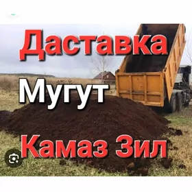 DERS GUM MITI TOPRAK CÃGE НАВО
