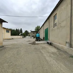 Änew Taÿyn Biznes_Ønümçiligi