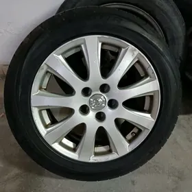 225/55/17 diska pakrysga