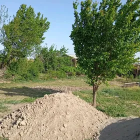 дача