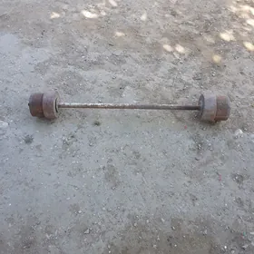 stanga