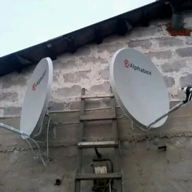 Antenlary KuRniman YÇŤÁ