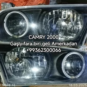 HUNDAÝ KIÝA MORDA