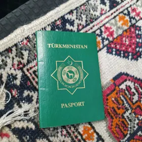 pasport tapyldy