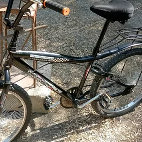 tigir 4 duga 24 lik