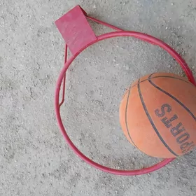 Basketball  sports