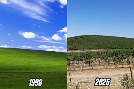 Windows XP iş stolundaky meşhur baýyr tanalmaz derejede üýtgedi