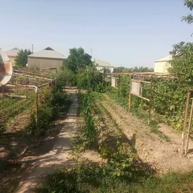 Parnik