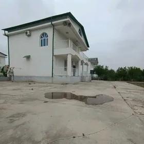 Taze zaman Katež 