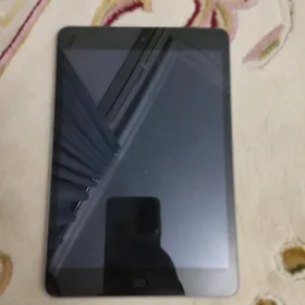 iPad mini 2