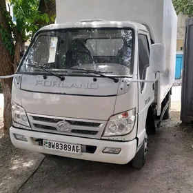 Forland H2 2014