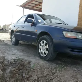 Toyota Windom 1993